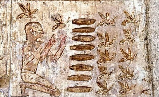 Egyptian pottery inscriptions showing mead-making scenes